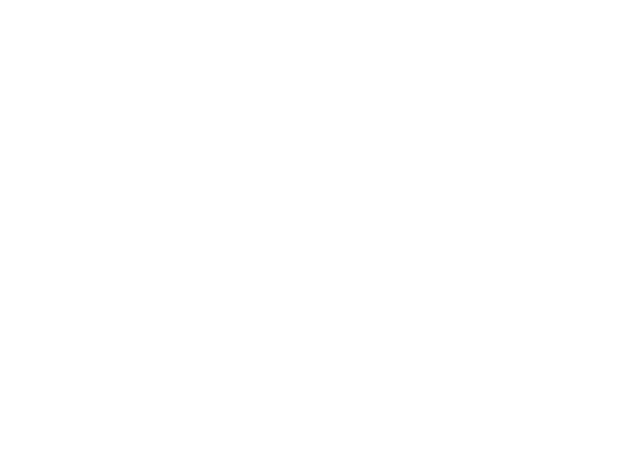 NeuroLoop